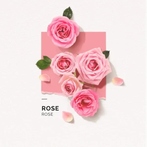 Solinotes Rose Eau De Parfum 15ml