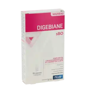 Acheter Pileje Digebiane sBO Comprimés B/20 à Angers