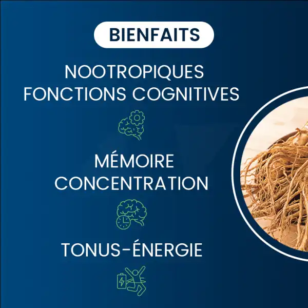 Dynveo Ginseng Rouge Bio Coréen 20% Ginsénosides 200mg 60 Gélules