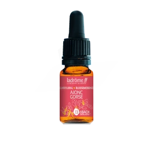 Ladrôme Elixir Floral 13 Ajonc 10ml