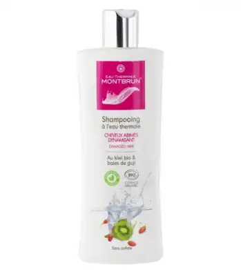 Acheter Montbrun Shampooing Cheveux abîmés dynamisant Bio 250ml à DIJON