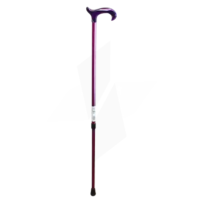 Fayet Ref2286 Canne Télescop Poign Plexi Rayu à Saint-Médard-en-Jalles