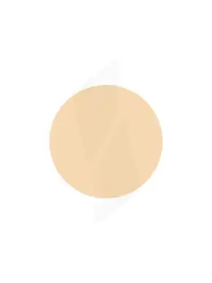 COVERMARK COMPACT POWDER NORMAL SKIN Poudre compacte n°110g
