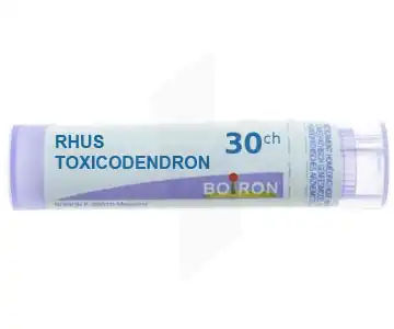 Boiron Rhus Toxicodendron 30ch Granules Tube De 4g à Nice