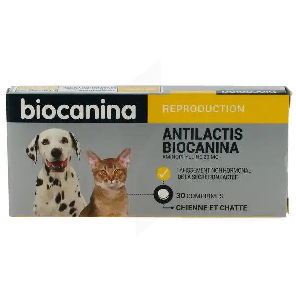 Antilactis Biocanina 20 Mg Comprimes Pellicules Pour Chiens Et Chats, Comprimé Pelliculé