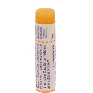 Boiron Staphysagria 15ch Globules Dose De 1g
