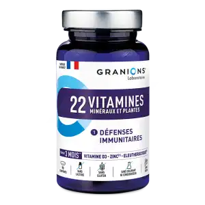 Granions 22 Vitamines Minéraux Et Plantes Comprimés B/90 à AIX-EN-PROVENCE