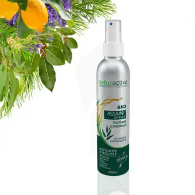 Naturactive Assaini'spray 200ml à RUMILLY