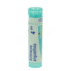 Boiron Echinacea Angustifolia 4dh Granules Tube De 4g