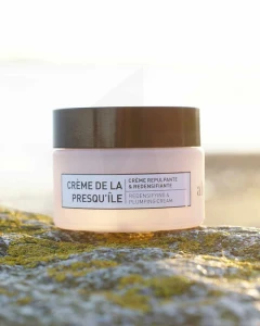 Algologie Crème De La Presqu'île - Crème Repulpante & Redensifiante Pot/50ml