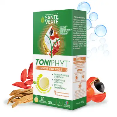 Santé Verte Toniphyt Boost Comprimés Effervescents Citron Vert Menthe B/30 à Saint-Bonnet-de-Mure