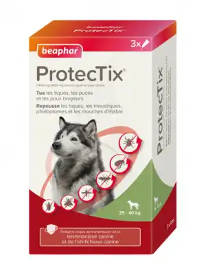Protectix Chien L (25-40Kg) Sol Ext Plaq/3