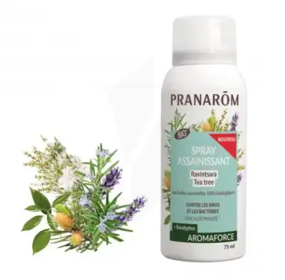 Pranarôm Aromaforce Spray Assainissant Ravintsara - Tea Tree Fl/75ml à St Jean de Braye