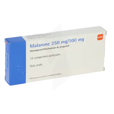 Malarone 250 Mg/100 Mg, Comprimé Pelliculé à MERINCHAL