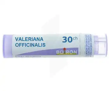 Boiron Valeriana Officinalis 30ch Granules Tube De 4g à Saint-Pierre-des-Corps
