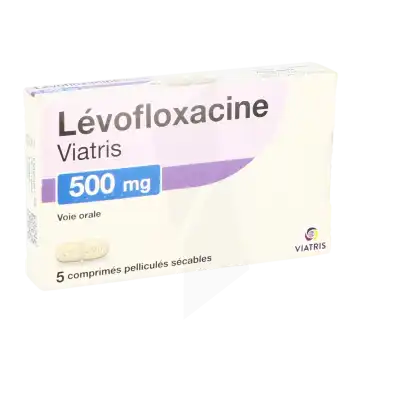 Levofloxacine Viatris 500 Mg, Comprimé Pelliculé Sécable à CHASSE SUR RHÔNE