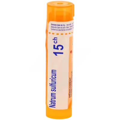Natrum Sulfuricum 15ch Granules à Chalon-sur-Saône