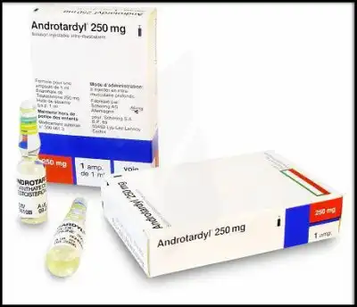 Androtardyl 250 Mg/1 Ml, Solution Injectable Intramusculaire à Bordeaux
