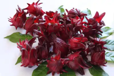 Hibiscus Fleur 100gr à MARIGNANE