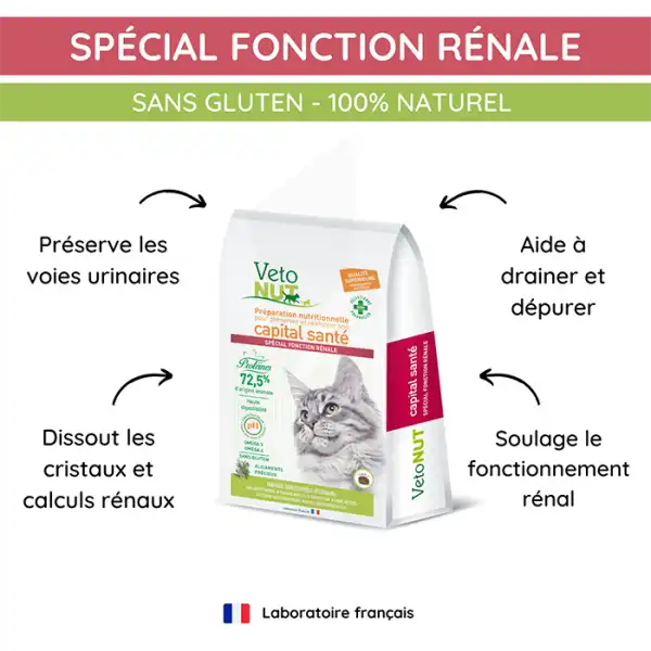 Vétonut Croquettes Pour Chat « spécial Fonction Rénale »