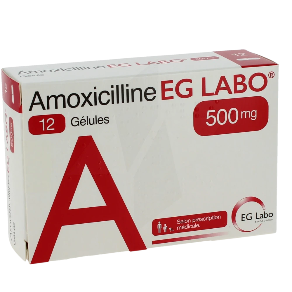 Amoxicilline Eg Labo 500 Mg, Gélule