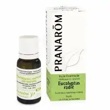 Huile Essentielle Eucalyptus Radie Bio Pranarom 10 Ml à Lunéville