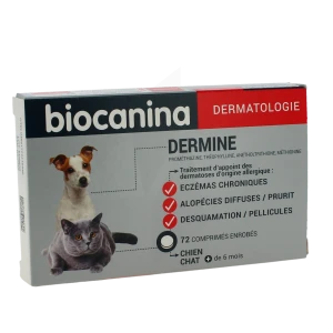 Dermine, Comprimé Enrobé
