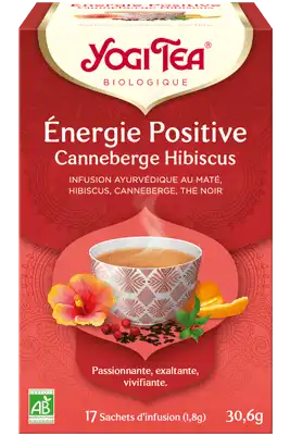 Yogi Tea Tisane Ayurvédique Energie Positive Canneberge Hibiscus 17 Sachets/1,8g à Bordeaux