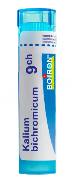 Boiron Kalium Bichromicum 9ch Granules Tube De 4g