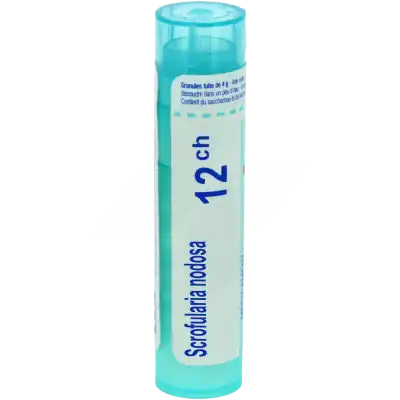 Scrofularia Nodosa 12ch Granules à TOURCOING