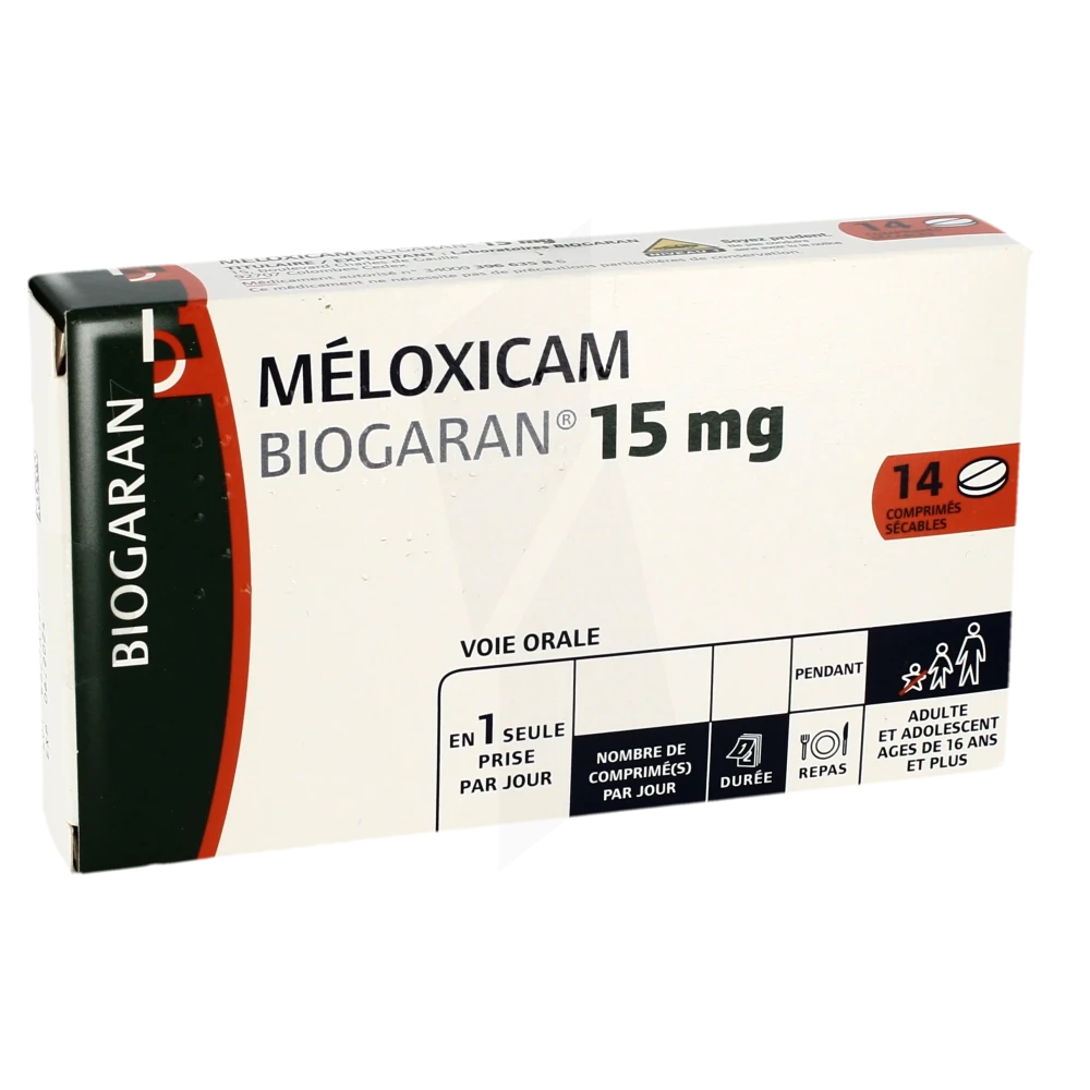 Meloxicam Biogaran 15 Mg, Comprimé Sécable