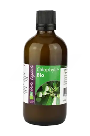 Laboratoire Altho Huile Végétale Calophylle (tamanu) Bio 100ml