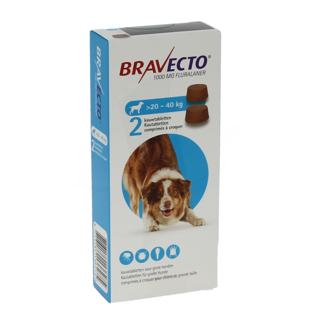 Bravecto 1000 Mg Comprimes A Croquer Pour Chiens De Grande Taille (>20-40 Kg), Comprimé à Croquer
