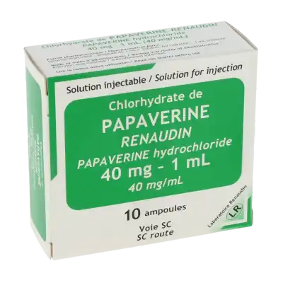 Papaverine Renaudin 40 Mg/ml, Solution Injectable à MARIGNANE