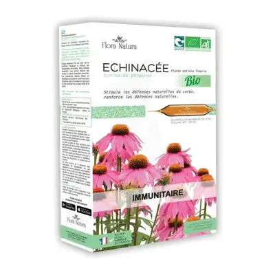 Flora Natura Echinacee Amp30 à Arles