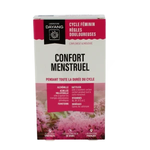 Dayang Gél Confort Menstruel B/30