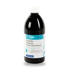 Eps Phytostandard Piloselle Extrait Fluide Fl/500ml