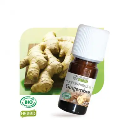 Propos'nature Huile Essentielle Gingembre Bio 10ml à Mailly-Maillet
