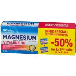 Acheter Govital Magnésium Vitamine B6 Comprimés 2*B/45 à  Perpignan