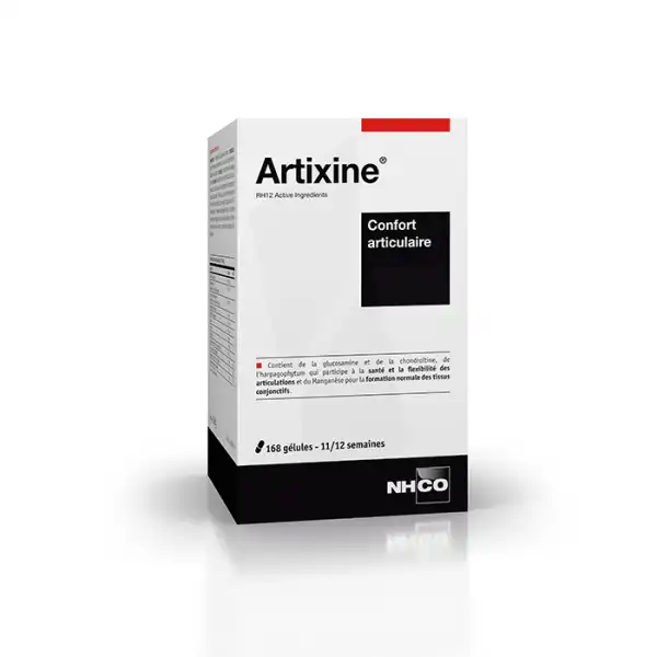 Nhco Nutrition Artixine® 168 Gélules Gélules B/168