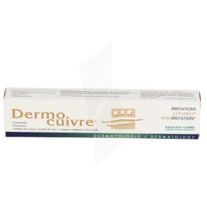 Dermocuivre Pom Dermite Irritative T/25g