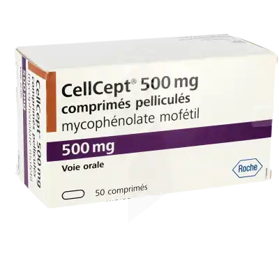 Cellcept 500 Mg, Comprimé Pelliculé à Blere