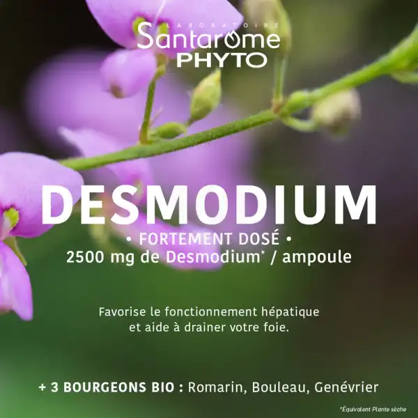 Santarome Desmodium 2500 Solution Buvable 20 Ampoules/10ml