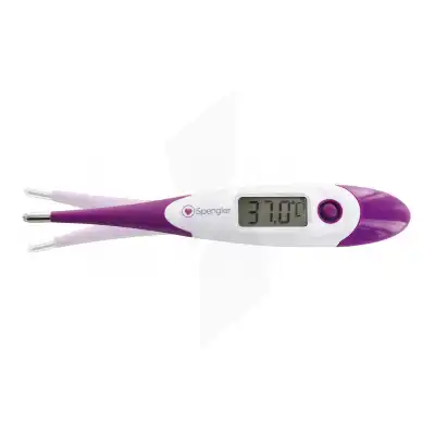 Thermo 10 Flex Thermomètre électronique Embout Flexible Violet B/1 à AUBEVOYE