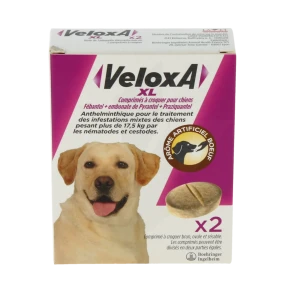 Veloxa Xl Comprimés à Croquer Vermifuge Chien B/2
