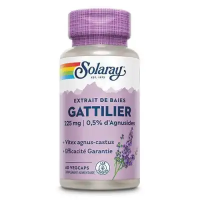 Solaray Gattilier Vitex 225mg Capsules Végétales B/60 à Libourne