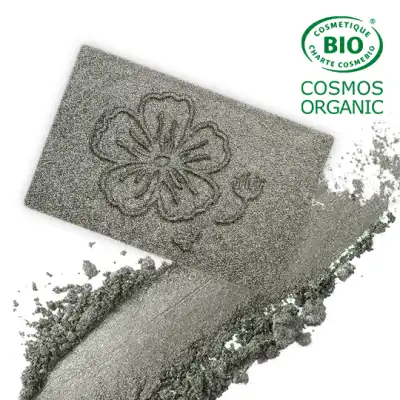 Dyp Cosmethic Fard à Paupières (recharge) 113 Gris Vert Satiné à Le Teich