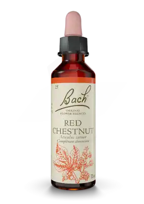 Fleurs De Bach® Original Red Chestnut - 20 Ml à Libourne