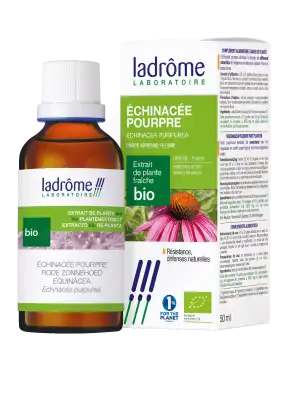 Ladrôme Extrait de Plante Echicée Pourpre Plante Entière Fleurie 50ml