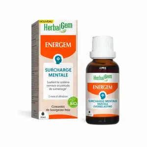 Energem Surcharge Mentale S Buv Bio Fl Cpte-gttes/30ml à Lyon